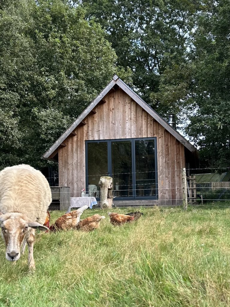 maatwerk charlet, Tiny woning, mantezorgwoning, tweede woning, gerealiseerd door van der plaat bouw en interieur